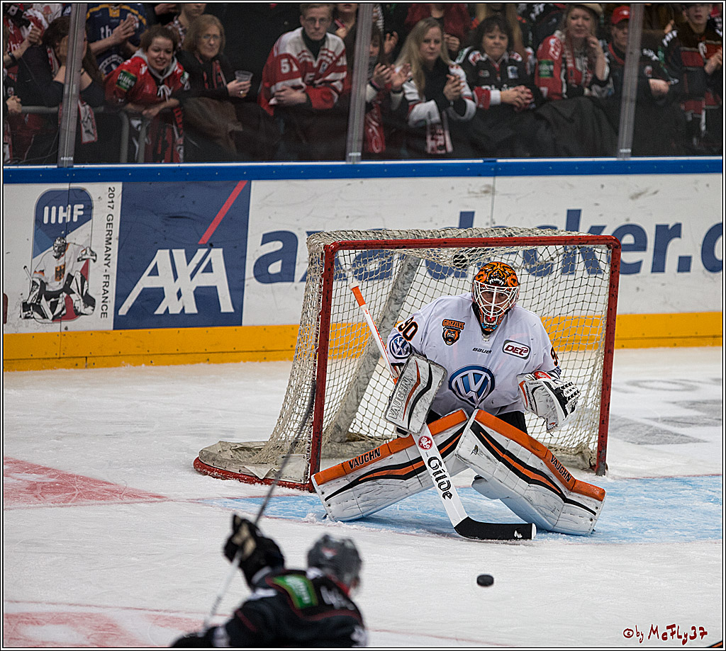 DEL, Koelner Haie - Grizzlys Wolfsburg, 21.02.2017
